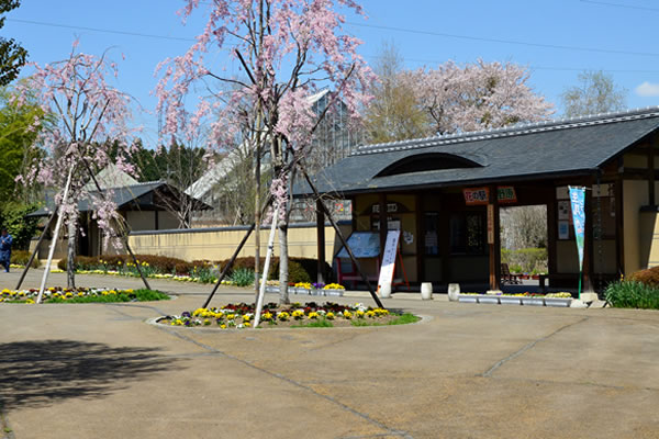 美野原花の駅